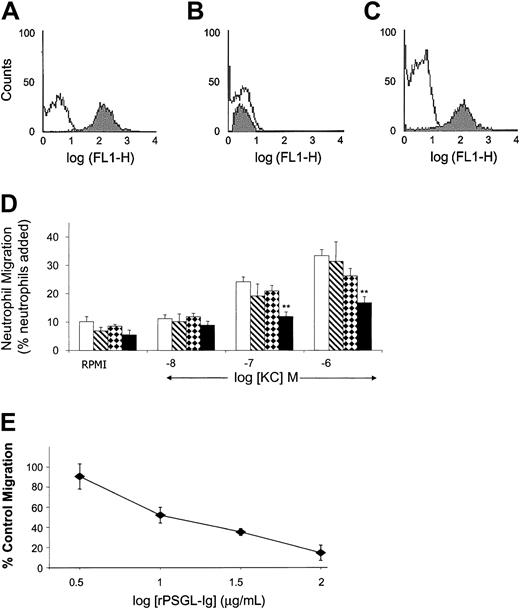 Fig. 6. Effect of rPSGL-Ig on the murine chemokine KC. / (A-C) Fluorescent KC binds to rPSGL-Ig–coated beads. Differently coated nonfluorescent beads were incubated with FITC-KC, and association was determined by means of flow cytometry. In panel A, open histogram indicates nonfluorescent rPSGL-Ig–coated beads; filled histogram indicates rPSGL-Ig–coated beads incubated with FITC-KC. In panel B, open histogram indicates nonfluorescent low-affinity rPSGL-Ig–coated beads; filled histogram indicates low-affinity rPSGL-Ig–coated beads incubated with FITC-KC. In panel C, open histogram indicates FITC-KC incubated with rPSGL-Ig prior to incubation with rPSGL-Ig–coated beads; filled histogram indicates FITC-KC incubated with low-affinity rPSGL-Ig prior to incubation with rPSGL-Ig–coated beads. (D) Migration of murine neutrophils toward KC is inhibited by rPSGL-Ig. Purified mouse neutrophils were incubated with vehicle (open bars), CD4-Ig (hatched bars), low-affinity rPSGL-Ig (checked bars), or rPSGL-Ig (filled bars) (all at 10 μg/mL) and allowed to migrate over ChemoTx chambers in response to the chemokine KC. The percentage of migration was calculated by expressing the number of migrated neutrophils as a percentage of the total number added to the chamber. Results are presented as means ± SEMs of 5 or 6 experiments. **Indicates a statistically significant difference from vehicle, P < .01. (E) Concentration-dependent inhibition of murine neutrophil migration by rPSGL-Ig. Purified mouse neutrophils were incubated with different concentrations of rPSGL-Ig prior to migration in response to 10−6 M KC. Results are presented as the percentage of control migration, where 100% is the percentage induced by 10−6 M KC with nonspecific migration toward vehicle (RPMI) subtracted. Means ± SEMs of n = 4 experiments are shown.