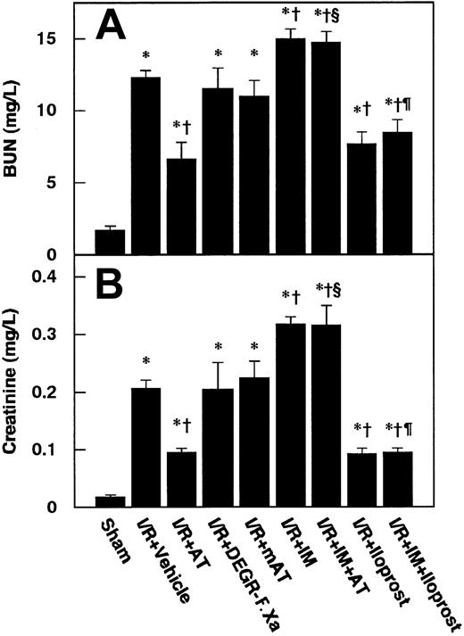Fig. 2. Effects of antithrombin (AT) and other materials on renal ischemia/reperfusion (I/R)–induced increases in serum levels of BUN and creatinine. / Serum levels of BUN (A) and creatinine (B) were determined 24 hours after reperfusion. mAT indicates Trp49-modified AT. Data are expressed as means ± SDs from 6 animals. *P < .01 versus sham-operated group; §P < .05 versus vehicle-treated group; †P < .01 versus AT-treated group; ¶P < .01 versus IM-treated group.