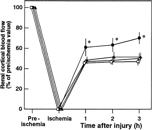 Fig. 6. Effect of antithrombin (AT), DEGR-F.Xa, and Trp49-modified AT on renal cortical blood flow during ischemia/reperfusion (I/R) injury in rats. / Renal cortical blood flow was measured from 30 minutes before ischemia until 3 hours after reperfusion. Data are expressed as means ± SDs of 5 experiments. Open circle indicates vehicle-treated group; filled circle, AT-treated group; open triangle, DEGR-F.Xa–treated group; filled triangle, Trp49-modified AT-treated group. *P < .05 versus vehicle-treated group.