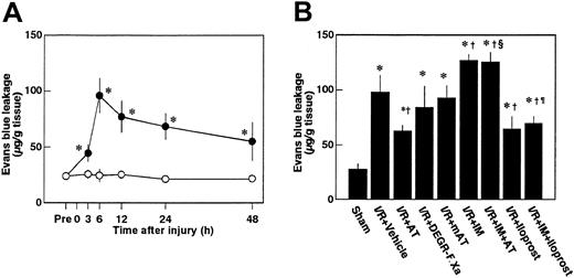 Fig. 7. Changes in renal vascular permeability in rats subjected to renal ischemia/reperfusion and effects of antithrombin (AT) and other materials on renal ischemia/reperfusion (I/R)–induced increases in renal vascular permeability. / (A) Renal vascular permeability was evaluated just before ischemia (Pre) and at indicated time points after reperfusion. (B) Renal vascular permeability was evaluated 6 hours after reperfusion in rats subjected to renal ischemia/reperfusion. mAT indicates Trp49-modified AT. Data are expressed as mean ± SD values of 6 animals. Open circle indicates sham-operated group; filled circle, vehicle-treated group. *P < .01 versus sham-operated group; †P < .05 versus vehicle-treated group; §P < .01 versus AT-treated group; ¶P < .01 versus IM-treated group.