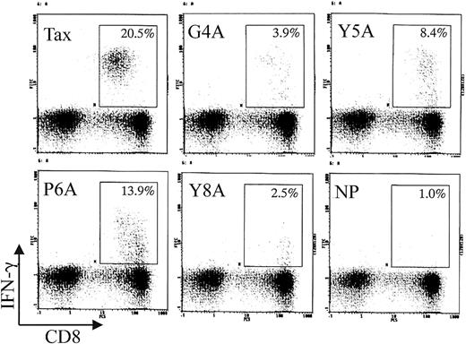 Fig. 1. Representative analysis of Tax 11-19– and APL-specific CD8+ T cells in PBMCs from patient no. 31 on 3/5/97 by flow cytometry. / PBMCs were cocultured with APCs prepulsed with either Tax 11-19, APL, or no peptide (NP) for 6 hours in the presence of brefeldin A, a reagent to accumulate synthesized proteins in the Golgi apparatus. The culture cells were stained with anti-CD8 and anti–IFN-γ antibodies. The lymphocytes were segregated from the APCs by size on the forward and side scatter and IFN-γ+ cells were gated as shown. The number in the gate indicates the frequency of IFN-γ+ cells in CD8+ cell population. Tax is the cognate Tax 11-19 peptide and APL was designated as G4A (glycine at position 4 of Tax 11-19 was substituted by alanine).