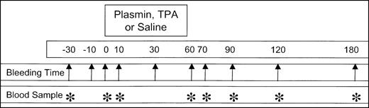 Fig. 1. Schematic representation of the experimental design. / Diagram shows the bleeding times (arrows) and blood samples (*) relative to the 50- to 60-minute infusion of plasmin or TPA. Infusions into rabbits (4 kg body weight) were performed in a randomized, blinded manner, using coded vials containing plasmin (16, 24, or 32 mg) or TPA (1, 2, or 4 mg) in a total volume of 10 mL. Data were pooled by group for statistical analysis, without knowledge of treatment. Control infusions of 10 mL saline to 5 animals were performed in an open-label manner at the end of the study.