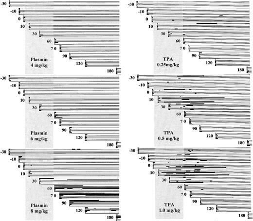 Fig. 2. Schematic representation of bleeding. / Bleeding is diagramed before, during, and after infusion of plasmin (left) or TPA (right) to groups of 5 rabbits. PBTs were performed on cohorts of 5 animals at −30 minutes, −10 minutes, and 0 minutes before infusion and at 10, 30, 60, 70, 90, 120, and 180 minutes after the start of infusion. The vertical shaded rectangle represents the infusion period from 0 to 55 to 60 minutes. The heavy lines indicate when bleeding occurred, either the primary bleeding times shown at the extreme left margin of each line, or renewed bleeding at these same sites over the 180-minute observation period. Intervals of stable hemostasis are indicated by the light horizontal lines.