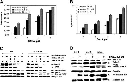 Fig. 2. Cotreatment with SAHA and imatinib causes more decline in Bcr-Abl levels and apoptosis. / K562 (A) and LAMA-84 (B) cells were treated with the indicated concentration of SAHA and/or imatinib for 48 hours. Following this treatment, the percentage of annexin V–stained apoptotic cells was determined by flow cytometry. (C) Western blot analyses of Bcr-Abl, p-AKT, procaspase-3, PARP, and its cleaved product in the cell lysates from K562 and LAMA-84 cells, following treatment with the indicated concentrations of SAHA and/or imatinib for 48 hours. The levels of β-actin served as the loading control. (D) Western blot analyses of Bcr-Abl, Ac-histone H3, histone H3, PARP, and its cleaved product in the cell lysates from CD34+ leukemia progenitor cells, from patients who had developed imatinib-refractory CML-BC, following treatment with the indicated concentrations of SAHA for 24 hours.