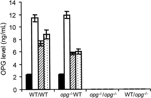 Fig. 5. OPG levels in plasma from hosts repopulated with WT or. / opg−/− TPO virus–infected BM cells. OPG levels were measured in PPP by ELISA. Each bar represents the mean ± SD of 7 to 10 animals per experimental group as indicated under the x-axis. The mice receiving transplants were analyzed at 1, 2, and 3 months, except for the WT/opg−/− group where samples were lost accidentally. The level of circulating OPG in WT controls (n = 8) is shown by black bars. One month after transplantation (open bars), OPG levels were 6-fold increased in WT hosts engrafted with TPO virus–infected BM cells from WT or opg−/−donors. Levels remained about 3-fold elevated at 2 months (hatched bars) and 3 months (dotted bars) with no significant difference (P < .5) between the 2 groups. OPG was undetectable in plasma from control and engrafted opg−/−hosts.
