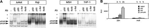 Fig. 4. Transcription factor binding and transactivation capacity of the κB site of β2m. / (A) EMSA showing binding of complexes to the κB site of β2m. Using specific Abs, the complex binding to the κB was shown to contain p50 and p65. The presence of c-Rel and RelB was weakly detectable in Raji and MSH B cells. Note the difference in the quantity of complex formation with an equal loading as in Figure3. Arrowheads indicate NF-κB complexes binding the κB site; *, supershifted complex(es). (B) Transient transfection of wild-type β2m- and κB site–mutated reporter constructs with p50 and p65 expression vectors (1 μg) in Tera-2 cells. The luciferase activity values were normalized with the Renilla luciferase activity values and are expressed as mean ± SD of 4 samples. The induction ratios are indicated above the histogram. RLU indicates relative light units.
