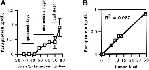 Fig. 2. Evolution of serum paraprotein concentration during disease progression and correlation between serum paraprotein concentration and 5T2MM myeloma tumor load in bone marrow. / (A) Evolution of serum paraprotein concentration during disease progression. Mice injected with 5T2MM cells were bled before being killed at indicated time points. Paraprotein in serum was quantified by protein electrophoresis. Each point represents mean value ± SD of 3 animals. (B) Correlation between serum paraprotein concentration and 5T2MM myeloma tumor load in the bone marrow. Paraprotein concentrations were measured as described in Figure 2A legend. Bone marrow mononuclear cells from the same mice were analyzed for 5T2MM tumor load by flow-cytometric staining with anti-idiotype–specific monoclonal antibodies. Each point represents mean value of 3 mice ± SD.