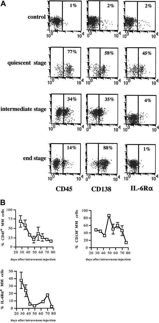 Fig. 4. Expression of CD45, CD138, and IL-6Rα during disease progression. / (A) 5T2MM cells were gated as explained in Figure 1A. For each tumor stage, plots from one mouse are illustrated. Each column of plots illustrates the expression of the antigen indicated below at the different tumor stages. Results are expressed as bivariate plots. x-axis: expression level of the indicated antigen; y-axis: autofluorescence; no marker was used in this channel (FL-4). Percentages of positive cells are indicated. (B) Alterations in CD45, CD138, and IL-6Rα expression during disease progression. Three mice were killed each week until the remaining animals were terminally diseased. Myeloma cells were phenotyped as described in Figure 1A legend. Percentages of CD45+, CD138−, and IL-6R+ MM cells are shown. Each point represents mean value of 3 mice ± SD.