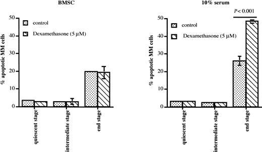 Fig. 6. Dexamethasone-induced apoptosis of 5T2MM cells during disease progression. / 5T2MM cells from different stages of disease progression were sorted as described. The MM cells were incubated with or without BMSCs and 5 μM dexamethasone was added where indicated. Apoptosis was analyzed by staining of the cells with annexin V and propidium iodide after overnight incubation. Data represent mean values ± SD of 3 mice (3 independent experiments) at each disease stage.