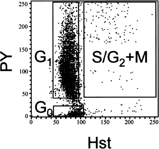 Fig. 1. FACS profiles of Hst/PY-stained AML cells. / AML cells or NBM Lin− were stained with Hst/PY and sorted into subpopulations. A representative Hst/PY dot profile of AML cells from patient 1 is shown.