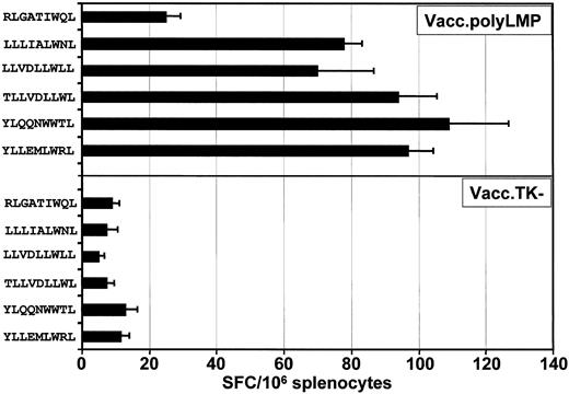Fig. 3. Ex vivo functional analysis of LMP1 epitope-specific T cells following immunization with Vacc.polyLMP. / HLA A2/Kb mice were immunized intraperitoneally with 107PFU/mouse (Vacc.polyLMP or Vacc.TK−), and 21 days after immunization, LMP1 epitope-specific reactivity was assessed in the splenocytes by ELISPOT assays as described in “Materials and methods.” A minimum of 6 mice from each group were assessed for LMP1-specific T-cell reactivity. The results are expressed as mean ± SE of spot-forming cells (SFCs) per 106splenocytes.