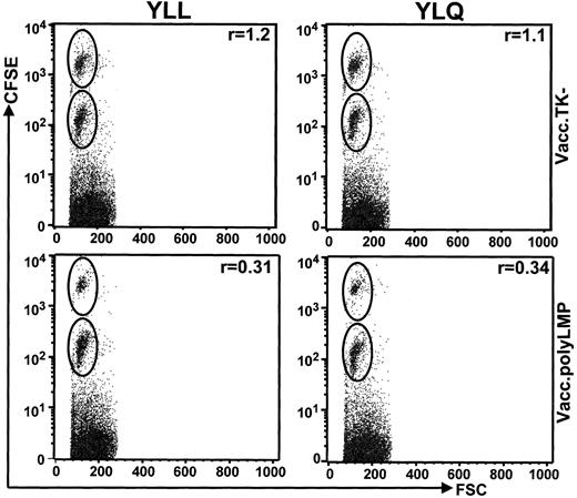 Fig. 5. Vacc.polyLMP immunization generates strong CTL activity in vivo. / Vacc.polyLMP or Vacc.TK−-immunized mice were inoculated with CFSE-labeled uncoated and peptide-sensitized (YLL or YLQ) splenocytes at 21 days after immunization. The clearance of these cells was monitored 18 hours after inoculation by FACScalibur. Ratios in the top right corner of each plot represent the percentage of peptide-pulsed, high CFSE-labeled cells to the percentage of low CFSE-labeled uncoated splenocytes retrieved from inoculated mice. A ratio of 1 indicates little or no clearance of peptide-labeled cells. Figures are representative values from individual mouse from a group of 4 mice. Data are representative of 2 independent experiments.