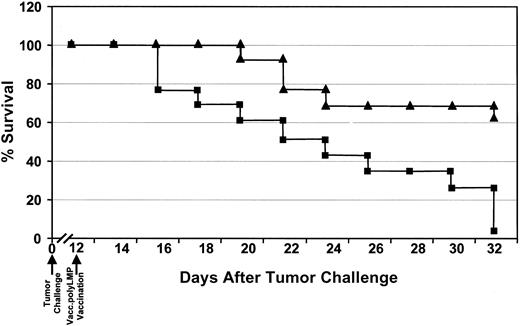 Fig. 7. Regression of LMP1-expressing tumors in HLA A2/Kb mice following therapeutic immunization with Vacc.polyLMP. / HLA A2/Kb mice were challenged with 107EL4-A2/Kb-LMP1 tumor cells. Twelve days after the challenge, when the tumor size was approximately 0.4 cm in diameter, these mice were immunized with either Vacc.polyLMP (▴) or Vacc.TK− (▪). The therapeutic efficacy of the LMP polyepitope vaccine was assessed by regular monitoring of tumor regression. Any mice showing tumor size larger than 1.0 cm in diameter were killed according to the guidelines of the ethics committee. Data are presented as percentage of mice surviving after immunization with Vacc.polyLMP or Vacc.TK−.