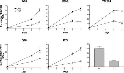 Fig. 1. Growth of. / P falciparum in AA and CC cells. Parasite lines were cultured for 4 days (2 cycles) in either AA (▪) or CC (■) cells. Initial parasitemias were 0.1%. Parasite densities were counted after 3 and 4 days of culture. Mean parasitemias (± SD) achieved by this set of 5 parasite lines after 4 days of culture in either AA or CC cells are compared in the bar graph and are representative of 10 separate culture experiments.