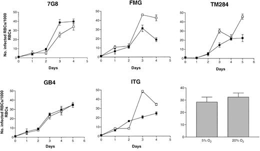 Fig. 4. Growth of. / P falciparum in oxygenated CC cells. Parasite lines were cultured for 4 days (2 cycles) in CC cells under atmospheres of either 5% (▪) or 20% O2 (■). Initial parasitemias were 0.1%. Parasite densities were counted daily. Mean parasitemias (± SD) achieved by this set of 5 parasite lines after 4 days in culture in different O2 atmospheres are compared in the bar graph and are representative of 4 separate experiments.