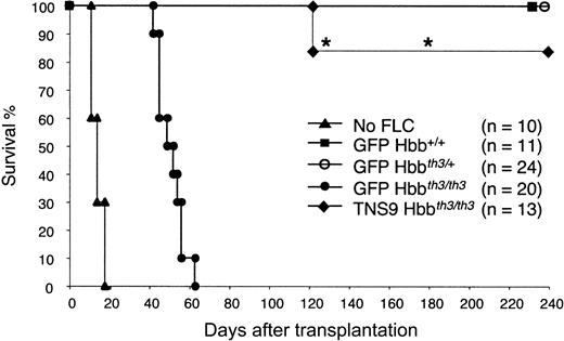 Fig. 4. Lentivirus-mediated globin gene transfer rescues Hbb. / th3/th3 hematopoietic chimeras from death. Donor Hbb+/+, Hbbth3/+, and Hbbth3/th3 FLCs harvested from ED 14.5 embryos were transduced with TNS9 or a control lentivirus encoding the eGFP protein. Of the 13 TNS9-treated chimeras, 6 stably and predominantly expressed Hbbhu (> 95% of total Hb). The asterisk indicates that healthy Hbb+/+, Hbbth3/+, and Hbbth3/th3 FLCs recipient mice were killed at 4 or 6 months after transplantation to perform pathologic and molecular analysis (see “Results” and Table 1). The remaining mice were killed 8 months after transplantation to complete the analysis. Two mice died 4 months after transplantation, showing profound anemia. Measurement of vector copy number in bone marrow, spleen, and peripheral blood showed, respectively, undetectable and very low vector copy number, thus establishing that these 2 chimeras had been temporally rescued by genetically modified, short-lived erythroid progenitor cells.