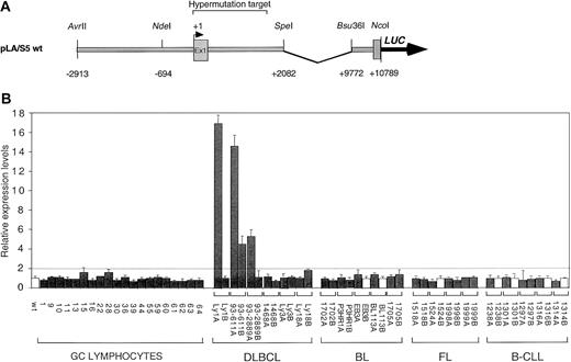 Fig. 1. Abnormal expression of DLBCL-derived mutant BCL6 alleles. / (A) Schematic diagram of the pLA/S5 wild-type reporter containing the BCL6 5′ noncoding region. Mutant constructs were generated by exchanging the 2.7-kb NdeI/SpeI fragment with the corresponding region of mutant BCL6 alleles derived from GC B cells or various lymphoma types. (B) Ly1 cells were transfected by electroporation with equimolar amounts of the indicated pLA/S5 reporter constructs and the pRL-TK plasmid as an internal control for transfection efficiency. In each tumor case, identified by a bracket, both alleles were tested (solid bars indicate mutated alleles; white bars, wild-type alleles). After 48 hours, cells were harvested and the luciferase activities were measured. One representative experiment of 3 to 8 independent transfections performed in duplicate with similar results is shown. Average luciferase activity (± SD) is expressed as relative increases with respect to the wild-type construct (set as 1), after normalization for Renilla activity; differences in activity were defined as significant when greater than 2-fold (dotted line). The DLBCL-derived alleles Ly1A, 93-611A, 93-611B, and 93-2889A were found overexpressed (4- to 18-fold), whereas no significant changes were observed in transfectants deriving from normal GC cells or other lymphoma types. DLBCL indicates diffuse large B-cell lymphoma; FL, follicular lymphoma; BL, Burkitt lymphoma; B-CLL, B-cell chronic lymphocytic leukemia.