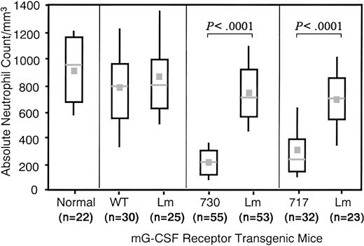 Fig. 3. Box-and-Whisker plots of peripheral neutrophil counts. / The top of each box denotes the third quartile and the bottom of each box denotes the first quartile. The location of the midpoint of the distribution is indicated with a horizontal line in each box. The median is indicated with a gray square. The top whisker denotes the highest 10% and the bottom whisker the lowest 10%. The Mann-Whitney U test was used for the statistical analysis. WT indicates wild-type G-CSFR Tg mice; 730 and 717, Tg mice expressing mutant G-CSFR with a 730 and 717 amino acid truncation, respectively; and Lm, littermates.