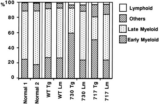 Fig. 8. Differential counts of bone marrow cells in suspension culture under G-CSF stimulation. / Bone marrow cells (5 × 105/mL) of normal mice, Tg mice expressing wild-type (WT) G-CSFR, and mutant receptors with 730 and 717 amino acid truncations, and their littermates (Lm) were incubated in suspension culture for a week in the presence of 20 ng/mL G-CSF. Others indicates erythroid cells, monocytes/macrophages, and megakaryocytes; Late Myeloid, mature neutrophils with a banded or segmented nucleus; and Early Myeloid, immature myeloid cell (myeloblasts to metamyelocytes). % indicates the percentage of each cell fraction in total bone marrow cells.