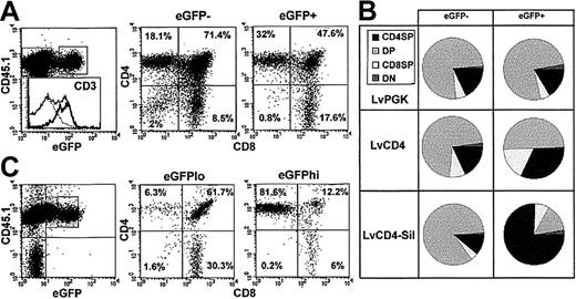 Fig. 3. Thymic distribution of eGFP-expressing cells in reconstituted RAG-2 KO mice. / (A) Typical distribution of donor-derived eGFP+ cells in the thymus of RAG-2 KO mice 2 months after engraftment with Lin−Sca-1+ cells transduced with the LvCD4 vector. Electronic gates were set around CD45.1+eGFP− and CD45.1+eGFP+ cells (left panel). Distribution of CD4/CD8-expressing thymocytes was then analyzed in eGFP+and eGFP− cells. Histogram in the inset shows CD3 expression in total thymocytes (solid line), in total DP cells (dotted line), and in eGFP+ cells (bold line). (B) Summary of the results obtained as in panel A for nonspecific and T- or CD4-specific lentiviral vectors; areas represent the percentages of DN, DP, CD4 SP, and CD8 SP cells in eGFP− or eGFP+ cells with the LvPGK, LvCD4, and LvCD4-Sil lentiviral vectors. (C) Distribution of thymocytes transduced with the CD4-specific lentiviral vector LvCD4-Sil in eGFPlo or eGFPhi cells analyzed as in panel A.