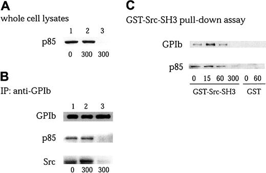 Fig. 7. Association of Src with GPIb is mediated by interaction of Src-SH3 with PI 3–kinase. / (A-B) Platelets pretreated with 1 μM cytochalasin D (Cyto D) were stimulated with 6 μg/mL botrocetin plus 10 μg/mL VWF for the indicated time periods (seconds). The platelet lysates without (lane 1, control; lane 2, after stimulation) or with (lane 3) p85 immunodepletion were examined for the presence of p85 by anti-p85 immunoblotting (A), and subjected to immunoprecipitation with anti-GPIb MoAb (B). The immunoprecipitates were resolved on SDS-PAGE and immunoblotted with anti-GPIb, anti-p85, and anti-Src antibodies, respectively. (C) Platelets were stimulated with 6 μg/mL botrocetin plus 10 μg/mL VWF for the indicated time periods (seconds), the lysates were precipitated with 20 μg/mL GST-Src-SH3 or GST alone. The precipitates were separated by SDS-PAGE and analyzed by immunoblotting with anti-GPIb and anti-p85 antibodies, respectively.