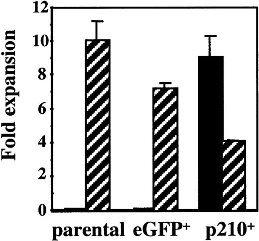 Fig. 1. NK92 cells transduced with p210 become IL-2 independent. / Untransduced (parental) NK92 cells were transduced with a control vector (eGFP) and a vector containing BCR/ABL (p210). Parental and sorted eGFP+ (termed eGFP) and p210-eGFP+ NK92 cells (termed p210+) (3 × 105 cells/mL) were cultured in the presence (▨) or absence (▪) of 500 U/mL IL-2, and the number of viable cells was determined after 14 days of culture. Parental and eGFP+control NK92 cells died in the absence of IL-2, whereas p210+ cells without IL-2 expanded at similar rates as parental NK92 cells in the presence of IL-2.