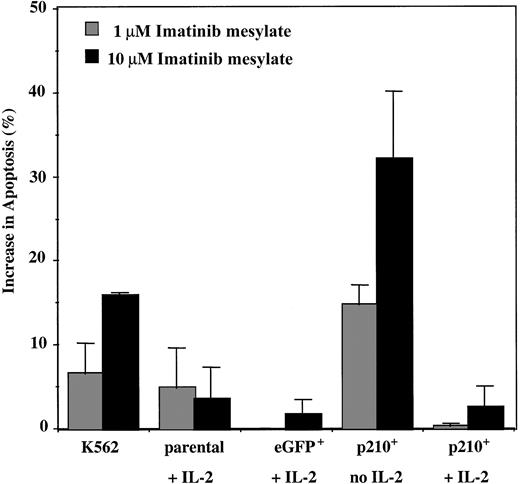 Fig. 5. Imatinib mesylate induces apoptosis of the IL-2–independent p210+ NK92 cells. / Parental, eGFP+, and p210-eGFP+(p210+) NK92 cells (1 × 105cells/mL) were incubated with 1 and 10 μM imatinib mesylate for 96 hours, and then apoptosis was analyzed using the annexin-V binding assay. Data shown are the increase in apoptosis over the baseline (without imatinib mesylate) for each condition. p210+ NK92 cells without IL-2 demonstrate significantly increased apoptosis from imatinib mesylate compared with control eGFP+ NK92 cells (P < .01), and adding IL-2 reverses this effect (P = NS). Each bar represents the mean ± SEM of 3 experiments for each condition.