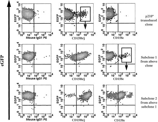 Fig. 6. Serial clones of p210+ NK92 cells acquire KIR. / Serial phenotype analysis of p210-eGFP+(p210+) NK92 clones for KIR expression detected small subpopulations (top row) that expressed CD158b/j allowing selection of subclones. Subclone 1 (CD158b/j+; top row, middle panel) continued to acquire KIR (middle row), and subclone 2 expressing CD158e was established (bottom row). The sorting gates shown are representative of those used to establish subsequent subclones.