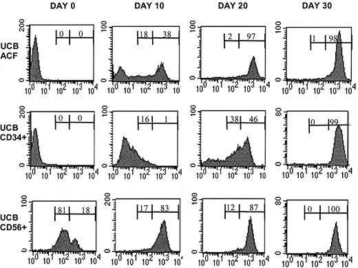 Fig. 6. Kinetics of CD56 antigen expression in various UCB-derived cell populations. / The expression of CD56 in UCB/ACF, UCB/CD34+, and UCB/CD56+ cells during culture with FL and IL-15 was examined by flow cytometry. The numbers indicate the percentages of CD56dim and CD56bright cells for each time point. Of the 5 experiments conducted, 1 representative example is shown.