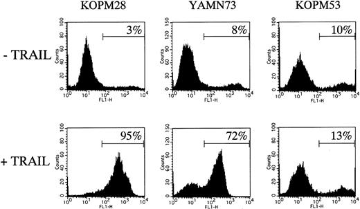 Fig. 3. Flow cytometric analysis of TRAIL-induced apoptosis. / TRAIL-sensitive cell lines (KOPM28 and YAMN73) and TRAIL-resistant cell line (KOPM53) were cultured for 12 hours with or without rhsTRAIL (100 ng/mL) and then stained with FITC-conjugated Annexin-V. The percentages of positive cells are indicated.