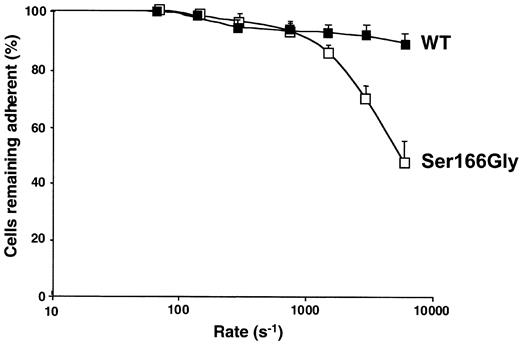 Fig. 3. Decreased resistance to detachment of GPIb/V/IX cells containing a GPIbβ(Ser166Gly) mutation. / K562-GPIb/V/IX (WT; ▪) or K562-GPIb(βSer166Gly)/V/IX (■) cells were perfused for 5 minutes at 75 s-1 over a bovine (BVWF) matrix followed by perfusion of buffer with incremental increases in shear rates up to 6000 s-1. At each shear rate the number of adherent cells was counted and expressed as percent of adherent cells relative to the number of adherent cells found at 75 s-1. Results are expressed as the mean ± SEM of 3 separate experiments.