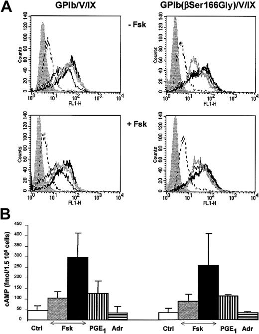 Fig. 4. Treatment with forskolin or PGE1 increases cAMP in K562-GPIb/V/IX cells without changing receptor surface expression. / (A) K562-GPIb/V/IX and K562-GPIb(βSer166Gly)/V/IX cells (1 × 106/mL) were treated (+Fsk) or not (-Fsk) with 50 μM forskolin. GPIb/V/IX cell surface expression was then analyzed by flow cytometry after incubation with 10 μg/mL of ALMA.12 against GPIbα (thick black line), RAM.1 against GPIbβ (gray line), ALMA.16 against GPIX (thin black line), V.1 against GPV (stippled line), or control MOPC21 (filled gray histogram). Histograms are representative of 2 separate experiments. (B) K562-GPIb/V/IX and K562-GPIb(βSer166Gly)/V/IX cells were treated with 10 μM (░) or 50 μM (▪) forskolin (Fsk) for one hour at 37°C, or with 10 μM PGE1 (PGE1) or 10 μM adrenaline (Adr) for 3 to 5 minutes at 37°C. Levels of cAMP were determined with a cAMP (125I) assay system and results are expressed as the mean ± SEM of 3 separate experiments. Surface expression of GPIb/V/IX was not affected by forskolin treatment, although forskolin and PGE1 increased cAMP levels in both cell lines.