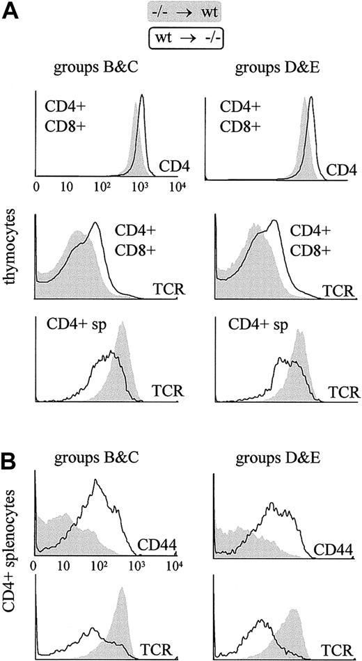 Fig. 6. The characteristic cell surface phenotype of thymocytes and peripheral CD4+ T cells in pIV−/− mice is reproduced in bone marrow chimera experiments only if the irradiated recipient is a pIV−/− mouse. / Filled profiles represent T cells derived from pIV−/−progenitors grafted into a wild-type host. Open profiles represent T cells derived from wild-type progenitors grafted into a pIV−/− host. T cells were identified as donor-derived by gating with the appropriate congenic marker (Ly5.1 or Ly5.2). Groups B, C, D, and E refer to the groups of bone marrow chimeras listed in Table1. The 6 histograms in the upper panel reveal that thymocytes derived from wild-type bone marrow progenitors present alterations identical to those described in pIV−/− and I-Aα−/−mice if they develop in a pIV−/− host. The 4 histograms in the lower panel represent a similar analysis of splenic CD4+ T cells. Peripheral pIV−/−CD4+ T cells display a normal surface phenotype when they develop in wild-type hosts, whereas wild-type CD4+ T cells that develop in pIV−/− recipients up-regulate CD44 and express lower levels of TCR.