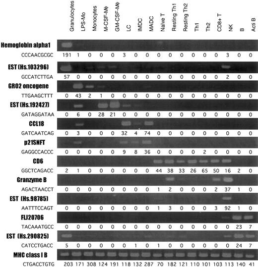 Fig. 2. RT-PCR analysis of the genes differently expressed in leukocytes. / RT-PCR was performed on total RNA isolated from each cell type, as described in “Materials and methods.” The number next to each tag sequence is the number of tags per cell.