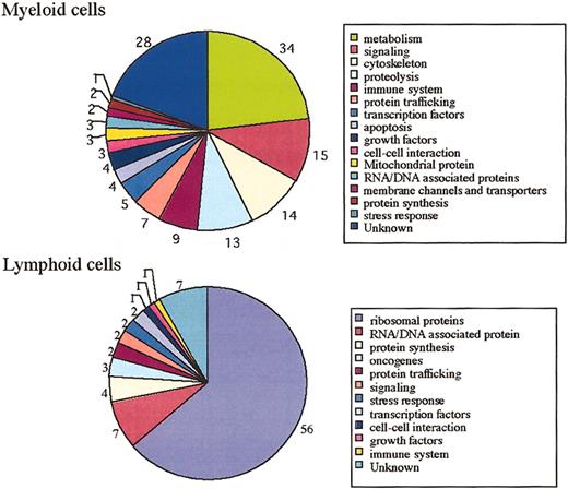 Fig. 3. Functional classification of myeloid and lymphoid cells. / Putative functional breakdown of myeloid and lymphoid cell genes. The number next to each category indicates the total number of genes in that class. The total number of genes significantly and highly expressed in myeloid cells is 147. The total number of genes significantly and highly expressed in lymphoid cells is 88.