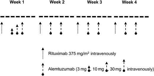 Fig. 1. Schedule of treatment with rituximab and alemtuzumab.