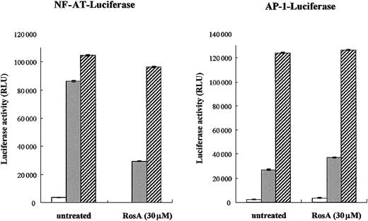 Fig. 1. NF-AT reporter activity but not AP-1 is inhibited by RosA. / (A-B) Jurkat cells (2 × 106) were transfected with NF-AT (A) or AP-1 (B) reporter. Twenty-four hours after transfection, Jurkat cells were preincubated in the presence or absence of RosA (30 μM) for 2 hours and then stimulated with immobilized anti-CD3 mAb (UCHT1, 5 μg/mL) (░) or PMA (5 ng/mL) and ionomycin (0.5 μg/mL) (▨) for 16 hours. In the RosA-treated group, RosA was present throughout the whole 16 hours of incubation. Jurkat cells without any stimulation are marked as open bars (■). Shown are the relative light units (RLU), indicated as the average RLU and standard error of 2 independent experiments.