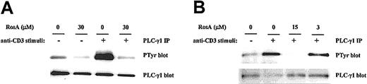 Fig. 3. RosA inhibits TCR-induced tyrosine phosphorylation of PLC-γ1. / Jurkat cells (5 × 107) were preincubated with 30 μM (A) or 3 to 15 μM RosA (B) for 4 hours and then either unstimulated or stimulated with OKT3 ascites (1:200) and OKT3–cross-linking antimouse IgG antibody (40 μg/mL) at 37°C for 2 minutes. PLC-γ1 was immunoprecipitated with anti–PLC-γ1 mAb (5 μg/mL), and tyrosine phosphorylation (PTyr) status was determined by blotting with antiphosphotyrosine mAb (0.5 μg/mL). After stripping, the nitrocellulose membrane was reblotted with rabbit polyclonal anti–PLC-γ1 antibody (1 μg/mL) to confirm equal precipitation of PLC-γ1. Results represent 1 of 4 independent experiments.