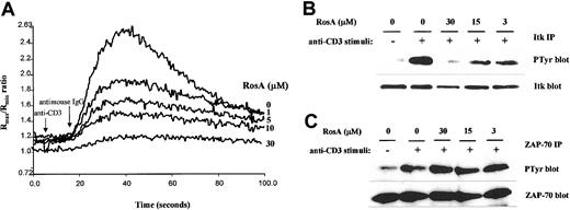 Fig. 9. RosA inhibits TCR-induced intracellular calcium mobilization and the tyrosine phosphorylation of Itk but not ZAP-70 in human peripheral blood lymphocytes. / Human PBLs from healthy volunteers were isolated as described in “Materials and methods.” (A) hPBLs were loaded with calcium-sensitive dye fura-2/am and then treated with varying concentrations of RosA for 15 minutes. Cells were stimulated, as indicated by arrows, with OKT3 ascites (1:1000) and cross-linking antibodies, and results are representative of 2 separate experiments. (B-C) hPBLs were pretreated with indicated concentrations of RosA for 4 hours and then either left unstimulated or stimulated for 3 minutes with OKT3. hPBLs were either subjected to immunoprecipitation with the rabbit polyclonal anti-Itk (B) or anti–ZAP-70 mAb (C), separated on SDS-PAGE, and immunoblotted with antiphosphotyrosine mAb (top panels). The membranes were stripped and reblotted with anti-Itk or ZAP-70 mAb (bottom panels).