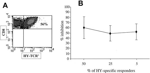 Fig. 5. MSCs do not specifically target antigen-reactive T cells. / Spleen cells from normal Thy1.2 C57BL/6 HY-immune female mice were stimulated with syngeneic male cells. After 7 days the proportion of HY-TCR+ T cells was 50% (A). These responder cells were used as such or mixed with splenocytes from Thy1.1 C57BL/6 naive female mice at a 1:2 or 1:10 ratio. Then 5 × 106 cells of the different mixtures were stimulated with equal number of HY peptide-pulsed (DbSmcy, DbUty, AbDby) syngeneic female cells in the presence or absence of a fixed number (105) of MSCs. After 24 hours the Thy1.2+ cell population was assessed for numbers of peptide-specific IFN-γ+ cells. The graph in panel B reports the percentages of inhibition exerted by MSC on the different mixtures of responder cells. The bars show SDs.