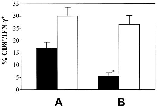 Fig. 7. The MSC inhibitory effect is transient. / (A) Spleen cells from C6 transgenic (naive) mice were stimulated for 24 hours with HY KkSmcy(TENSGKDI) peptide-pulsed APCs (▪). Cells were then harvested, washed, and restimulated with the same peptide for an additional 24 hours (■). (B) The same responder cells (C6 transgenic) were stimulated for 24 hours with HY KkSmcypeptide-pulsed APCs in the presence of MSCs (MSC/R ratio = 1:10; ▪). Cells were then harvested, depleted of MSCs by CD106 antibodies and Dynabeads before restimulation with the same peptide (■). The y-axis reports the percentage of IFN-γ–producing CD8+ T cells. The results reported are the average of 3 experiments of identical design. The bars show the SD. * indicates statistically significant (at least P < .01) versus control cultures containing MSCs (panel A, ▪) in all experiments. The comparison between the restimulation of C6 cells with HY KkSmcy peptide (■) previously stimulated with the same peptide in the presence (B) or absence (A) of MSCs was not statistically significant. The bars show the SD.