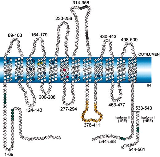 Fig. 1. Schematic representation of mouse Nramp2 (DMT1) isoform II (−IRE) and isoform I (+IRE). / The 12 transmembrane domains are predicted from hydropathy profiling, calculations of hydrophobic moment, and other computer-assisted analyses6 and from direct epitope mapping studies.13 Individual predicted intracellular and extracellular segments are identified, and their position within the primary sequence is shown. Amino acid residues defining sequence landmarks and signature motifs are depicted in different colors, including negatively and positively charged residues within predicted TM domains (dark blue), conserved histidine residues in TM6 (red), glycine residues in TM4 altered in anemicmk/Belgrade mutants (Gly185Arg), and mutated (inNramp1) in mice susceptible to infections (Gly184Asp) (yellow). Also identified are Asn-linked glycosylation signals in the TM7-TM8 extracytoplasmic loop (black), predicted membrane targeting/sorting motifs (tyrosine-based and dileucine) (green), and consensus transport signature common to Nramp orthologs and present in the cytoplasmic face of membrane anchors of bacterial periplasmic permeases (orange). The 2 different C-termini of the protein generated by alternative mRNA splicing containing or not an iron-response element (isoform I, +IRE; isoform II, −IRE) in the 3′ untranslated region are identified, with corresponding numbering. Finally, the polarity of the protein and membrane domains with respect to the membrane (light blue) is indicated (in, out, lumen).