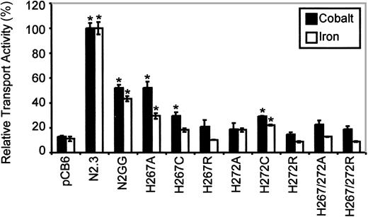 Fig. 6. Relative Fe2+ and Co2+ transport activity of Nramp2 mutations affecting conserved histidine residues in TM6. / Transport studies were conducted at pH 6.5. Results are presented for different mutants at His267 and His272, as described in the legend to Figure 5. Error bars represent standard errors on the means of 3 or more independent experiments.