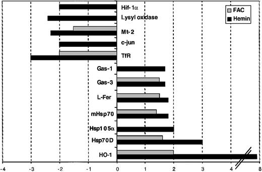 Fig. 2. Gene-expression profiles derived from hemin- and ferric ammonium citrate (FAC)–treated HeLa cells. / Comparison of the gene-expression profiles of hemin- and FAC-treated HeLa cells. Genes that show increased expression in hemin- and/or FAC-treated cells are shown in positive numbers and those with decreased expression in negative numbers.