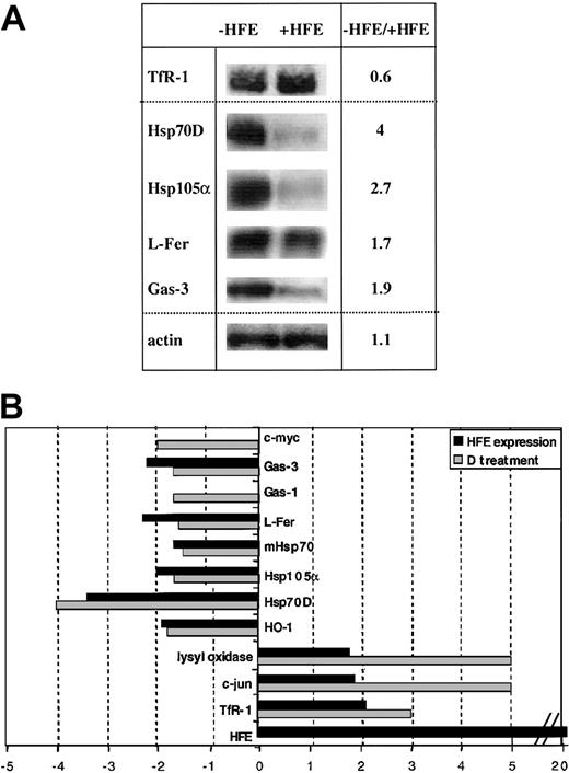 Fig. 3. Gene-expression profiles obtained from desferrioxamine-treated HeLa cells and HFE-expressing HeLa cells. / (A) Total RNA derived from HeLa cells treated with 100 μM desferrioxamine (D) for 8 hours or total RNA derived from HeLa cells that express HFE from an inducible transgene was analyzed on the IronChip in comparison with control samples. The average ratios of differentially expressed genes and their standard deviations are shown. (B) Comparison of the gene-expression profiles from desferrioxamine-treated and HFE-expressing HeLa cells. Genes with increased expression in desferrioxamine-treated and/or HFE-expressing cells are shown in positive numbers and those with decreased expression in negative numbers.