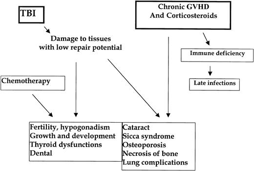 Fig. 1. Interrelationship between total body irradiation, chronic graft-versus-host disease in the genesis of late complications after allogeneic stem-cell transplantation.