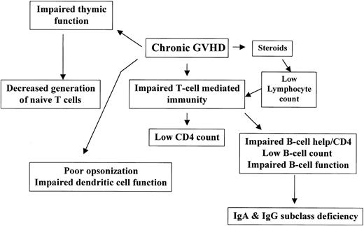 Fig. 2. Factors contributing to late immune deficiency and late infection following allogeneic stem cell transplantation.