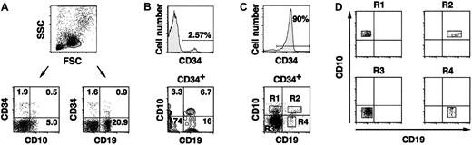 Fig. 1. B-cell progenitors circulate in cord blood: flow cytometry identification and purification of candidate populations. / (A) Three-color surface immunofluorescence studies of lymphoid cells (forward scatter × side scatter gate) show minor CB subsets that coexpress CD34 and either CD10 (0.5%) or CD19 (0.9%), above the background indicated by the quadrant bars, set using isotype-matched antibodies (less than 0.01%; see “Materials and methods”). (B) After gating on the IgM− CD34+ cells (2.57%, top panel), the contour plot correlated distribution of CD19 versus CD10 is shown (bottom panel). Four hemopoietic progenitor populations (CD34+) are found in CB: CD34+CD19−CD10+ (3.3%), CD34+CD19+CD10+ (6.7%), CD34+CD19−CD10− (74%), and CD34+CD19+CD10− (16%). Please note that Coulter flow cytometers display contour plots in a different format than FACS analyzers. The data are not overcompensated. (C) Single cells in the 4 populations are purified using the R1-R4 sorting regions indicated in the bottom panel. CD34+ cells are enriched before the sorting step (90%; top panel). (D) On reanalyses to define the sort purity, most cells (more than 99.5%) in every population fall within the predefined sort regions.