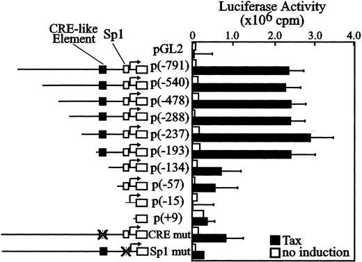 Fig. 2. Identification of the Tax-responsive region in theFuc-T VII promoter. / Reporter constructs, full-length, and 5′ deletions of the Fuc-T VII sequence cloned upstream of luciferase reporter gene (pGL2) through +104 nucleotide, were transfected into Jurkat T cells and either not cotransfected (■) or cotransfected with pCGTax (▪). The transcription start site and its location are indicated with an arrow in each construct. Reporter constructs shown are described in “Materials and methods.” The CRE-like element is represented by closed boxes, and the Sp1 consensus element is represented by open boxes. Promoter activity was expressed as the fold induction of the observed reporter activity of the construct cotransfected with pCGTax over that of the negative control, the full-length construct without pCGTax. CRE-mut has a mutation of bases −159 to −155 (from CGTCA to TTTAA) in the half-palindromic CRE motif of the CRE-like element, and Sp1-mut has a mutation of bases −39 to −32 (from GGGGCGGG to GTTTCAGG) in the Sp1 consensus element. Crossed-out boxes depict the site of these mutations. Results are expressed as relative light units normalized for CAT activity. Mean values for 3 independent assays are presented, and the corresponding standard deviation is indicated on the top of each bar.