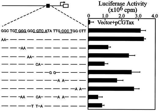 Fig. 7. Tax activation of the Fuc-T VII promoter is dependent on the CRE-like element and on its flanking G+C–rich sequences. / (A) The CRE-like element and the luciferase reporter construct are represented by closed and open boxes, respectively. The Fuc-T VIIpromoter from nucleotide −791 to +104 with the CRE-like element underlined. Specific mutations in each reporter construct are shown below. (B) Cells were transfected with 4 μg mutant reporter construct alone or in combination with 4 μg pCGTax. Results are expressed as relative light units normalized for CAT activity. Error bars depict the standard deviations from 3 independent experiments.